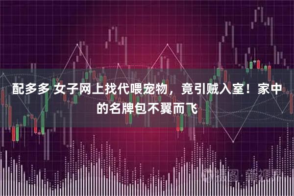 配多多 女子网上找代喂宠物，竟引贼入室！家中的名牌包不翼而飞