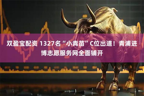 双盈宝配资 1327名“小青苗”C位出道！青浦进博志愿服务网全面铺开